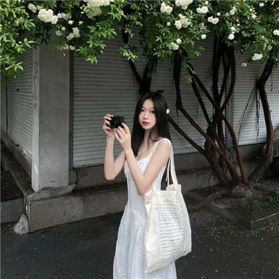 哈莉·奎茵第四季