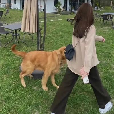 没有过去的男人